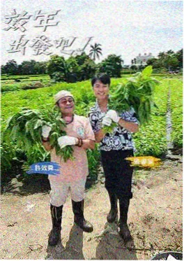 老手艺新生意 纪实综艺在线观看